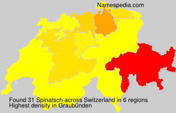 Spinatsch Spinatsch