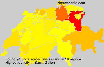 Spitz Spitz
