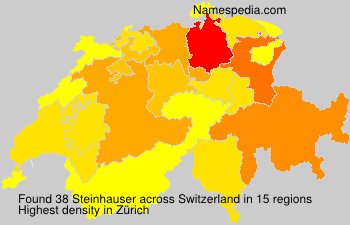 Steinhauser Steinhauser