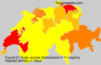 Suljic Suljic