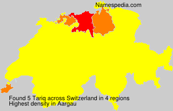 Tariq Tariq