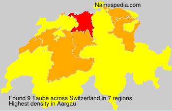 Taube Taube
