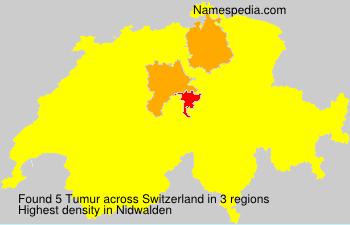 Tumur Tumur
