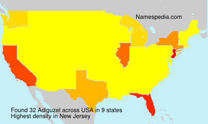 Surname Adiguzel in USA Surname Adiguzel in USA