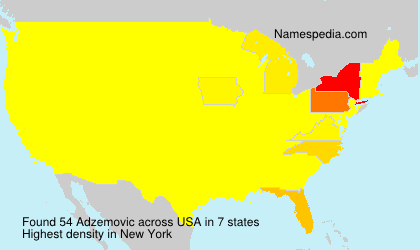 Surname Adzemovic in USA Surname Adzemovic in USA