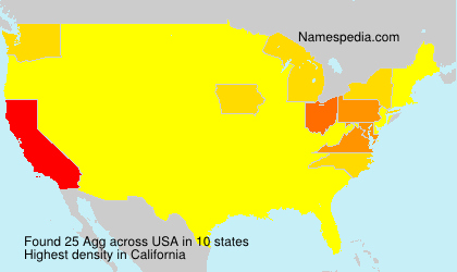 Surname Agg in USA Surname Agg in USA