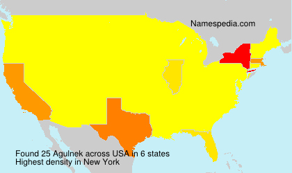 Surname Agulnek in USA Surname Agulnek in USA