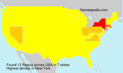 Surname Alpaca in USA Surname Alpaca in USA