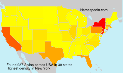 Surname Alvino in USA Surname Alvino in USA