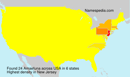 Surname Amaefuna in USA