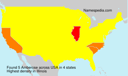 Amberose Amberose