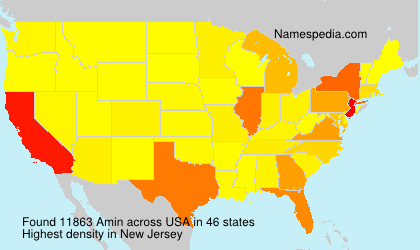 Surname Amin in USA Surname Amin in USA