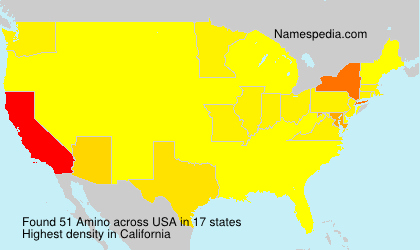Surname Amino in USA Surname Amino in USA