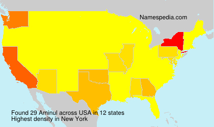 Surname Aminul in USA Surname Aminul in USA