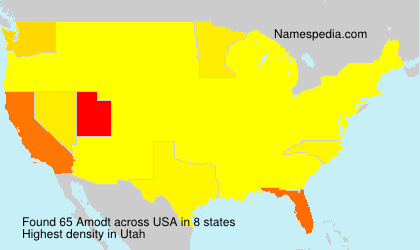 Surname Amodt in USA