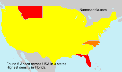 Surname Aneca in USA Surname Aneca in USA