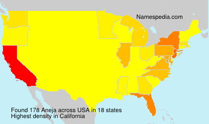 Aneja Aneja