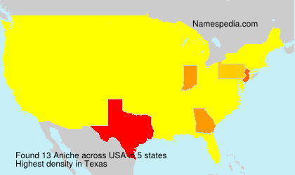 Surname Aniche in USA Surname Aniche in USA