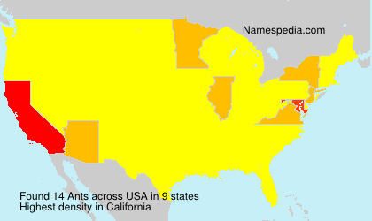 Surname Ants in USA Surname Ants in USA