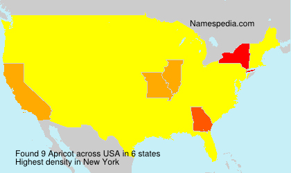 Apricot Apricot