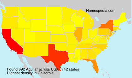 Surname Aquilar in USA