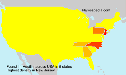 Surname Aquilini in USA