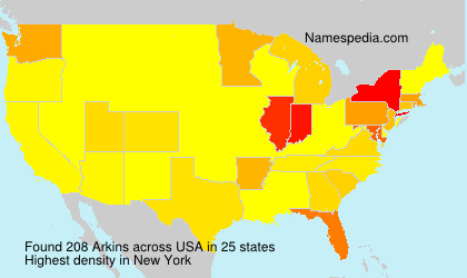 Surname Arkins in USA