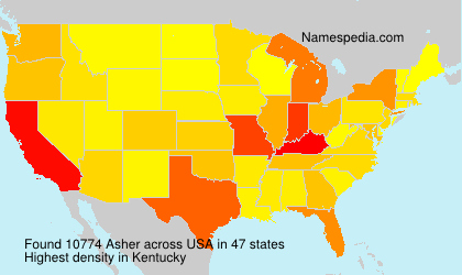 Asher Asher