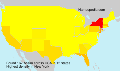 Surname Assini in USA Surname Assini in USA