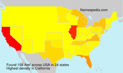 Surname Atef in USA Surname Atef in USA