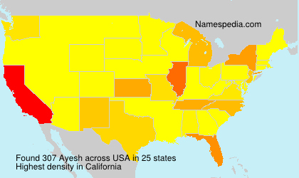 Surname Ayesh in USA Surname Ayesh in USA