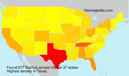 Bachus Bachus