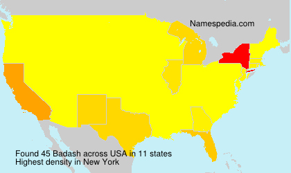 Surname Badash in USA Surname Badash in USA