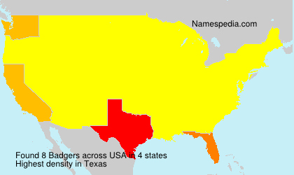 Surname Badgers in USA Surname Badgers in USA
