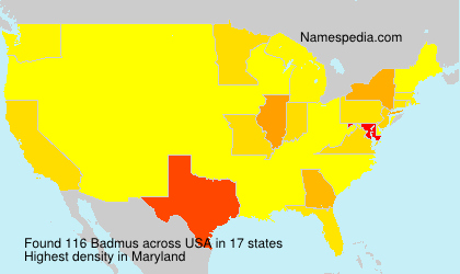 Surname Badmus in USA Surname Badmus in USA