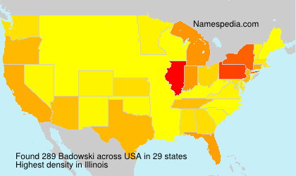 Surname Badowski in USA Surname Badowski in USA