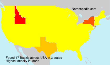 Surname Badzic in USA Surname Badzic in USA
