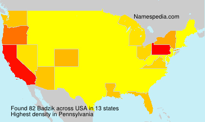 Surname Badzik in USA Surname Badzik in USA