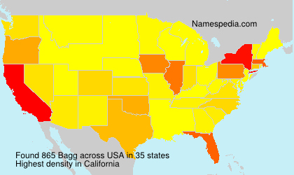 Surname Bagg in USA Surname Bagg in USA