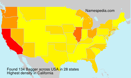 Surname Bagger in USA Surname Bagger in USA