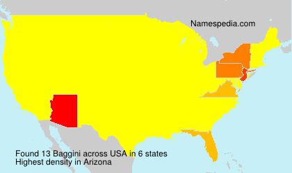 Surname Baggini in USA Surname Baggini in USA