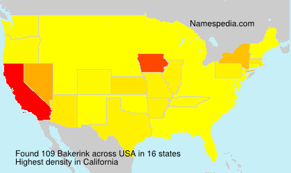 Bakerink Bakerink
