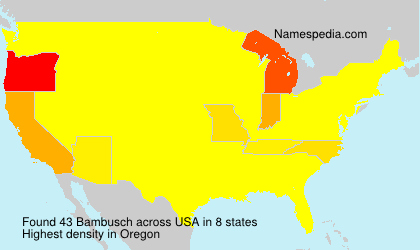 Surname Bambusch in USA