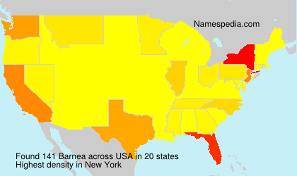 Surname Barnea in USA Surname Barnea in USA