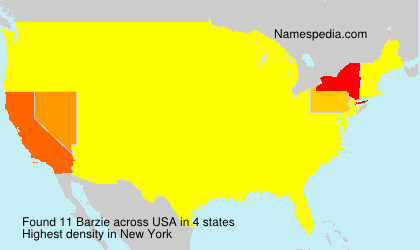Surname Barzie in USA