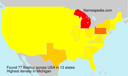 Surname Bashur in USA Surname Bashur in USA