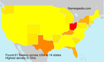 Surname Baskey in USA Surname Baskey in USA