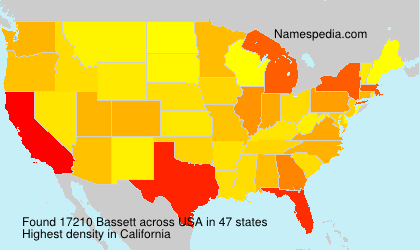Bassett Bassett
