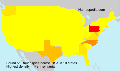 Bauchspies Bauchspies
