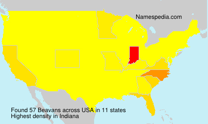Beavans Beavans